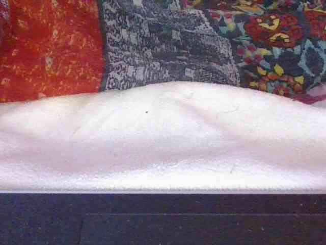 Phaniah1a webcam
