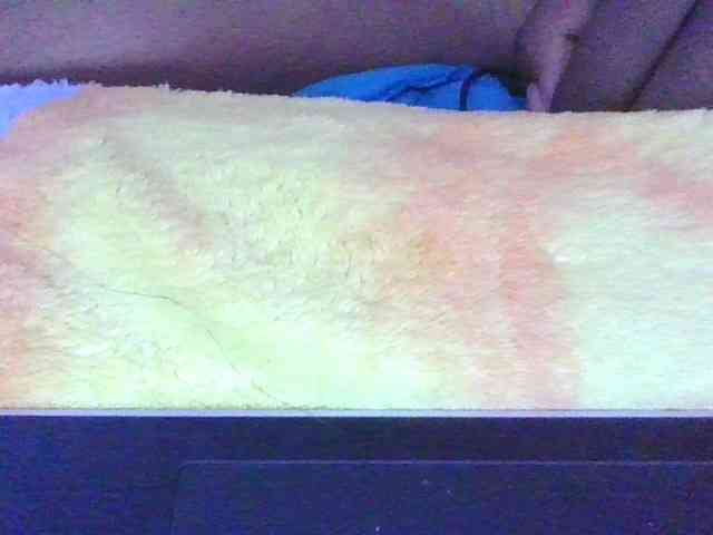 Phaniah1a webcam