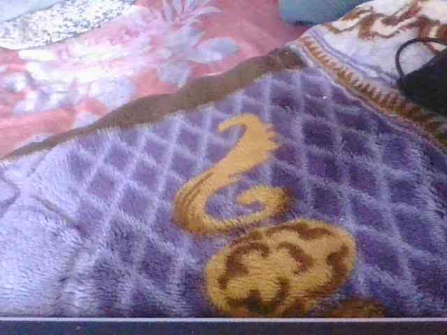 Phaniah1a webcam