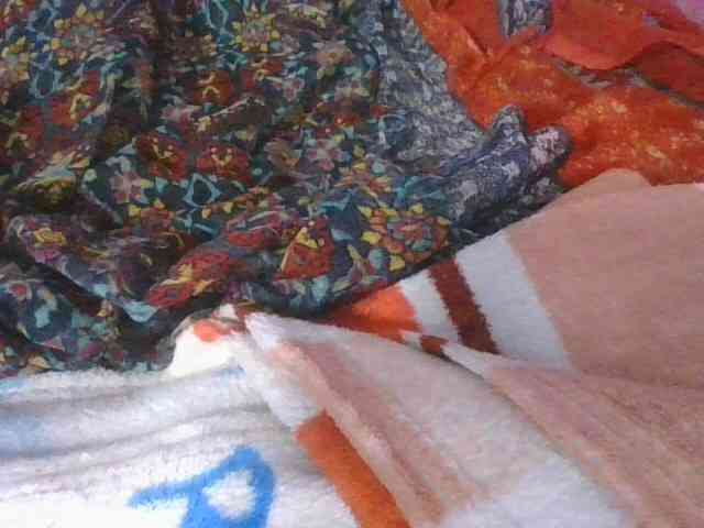 Phaniah1a webcam