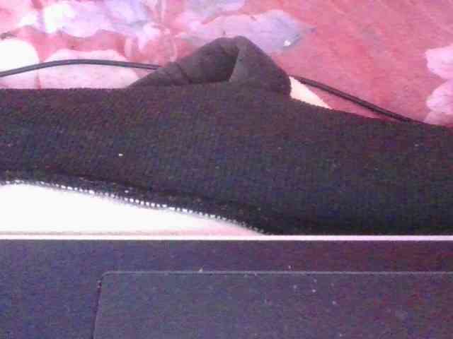 Phaniah1a webcam