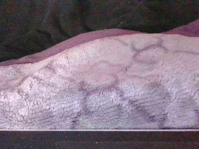Phaniah1a webcam