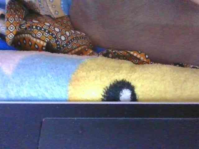 Phaniah1a webcam