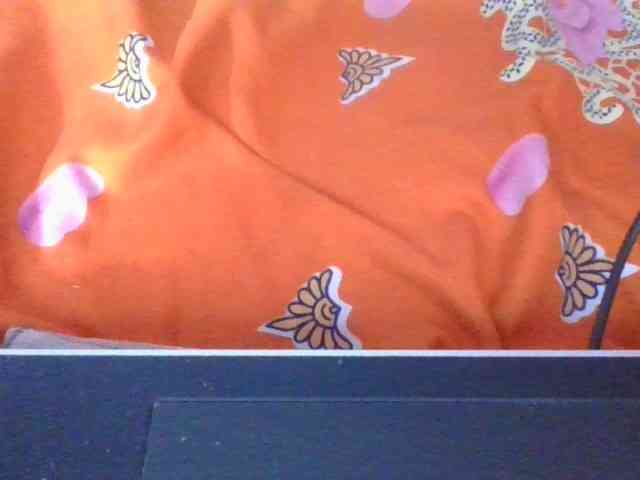 Phaniah1a webcam