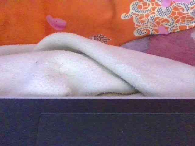 Phaniah1a webcam