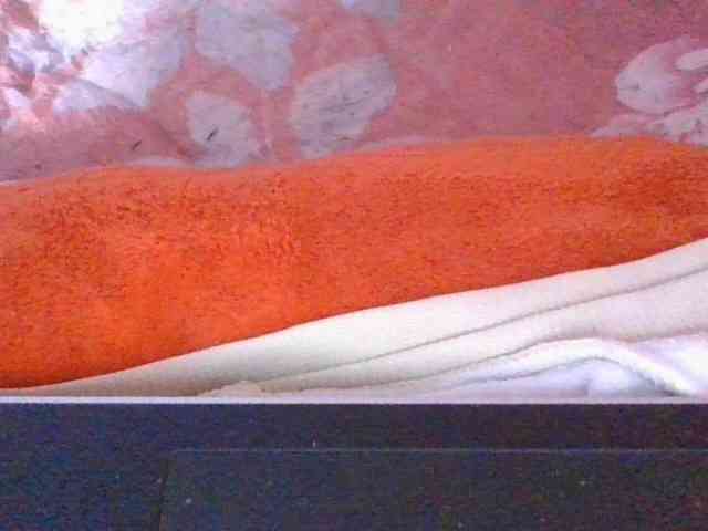 Phaniah1a webcam