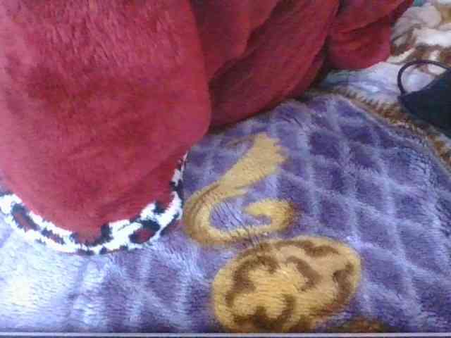 Phaniah1a webcam
