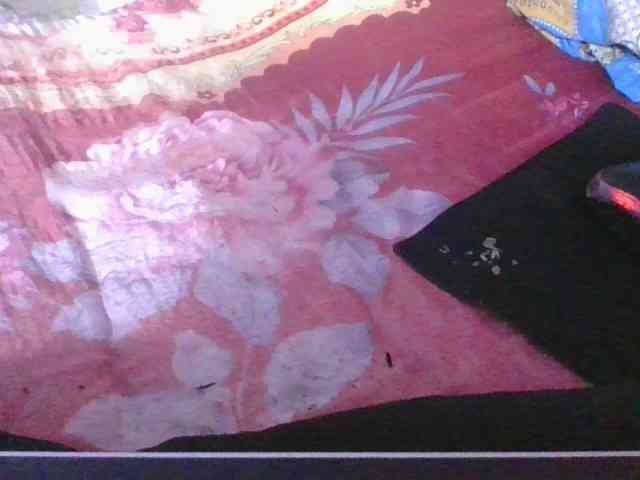 Phaniah1a webcam