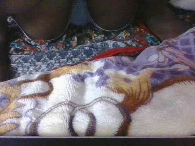 Phaniah1a webcam