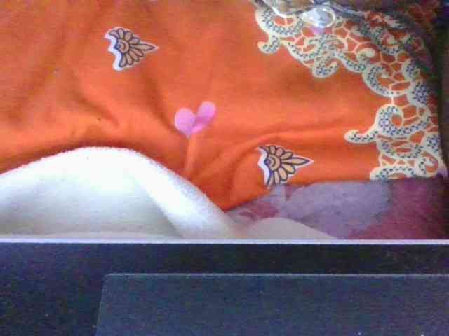 Phaniah1a webcam