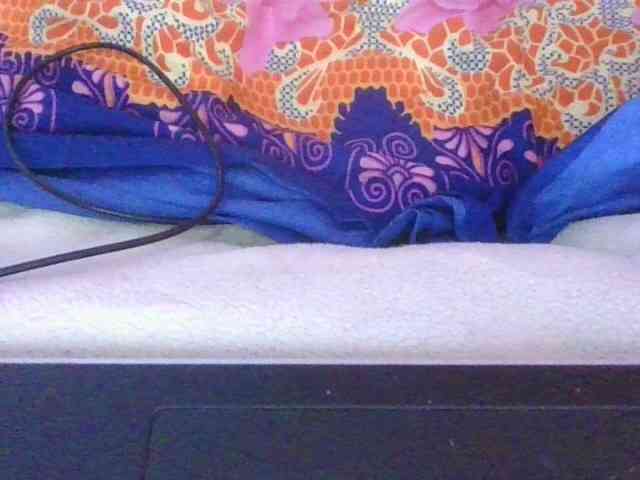 Phaniah1a webcam