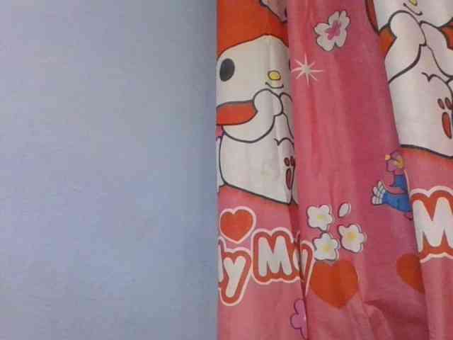 Phaniah1a webcam