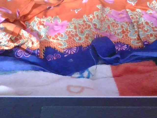 Phaniah1a webcam