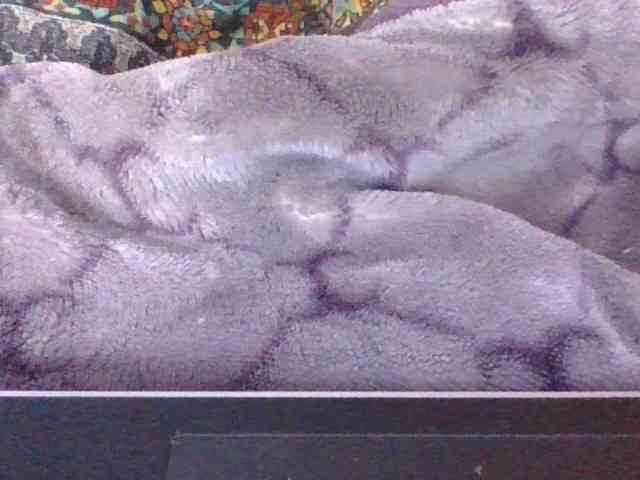 Phaniah1a webcam