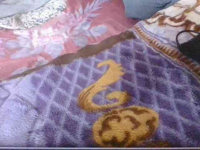 Phaniah1a webcam