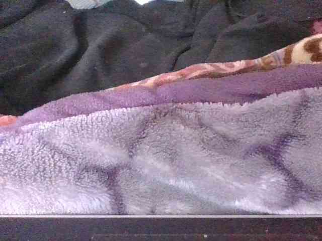Phaniah1a webcam