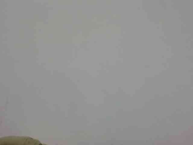 Phaniah1a's webcam live show
