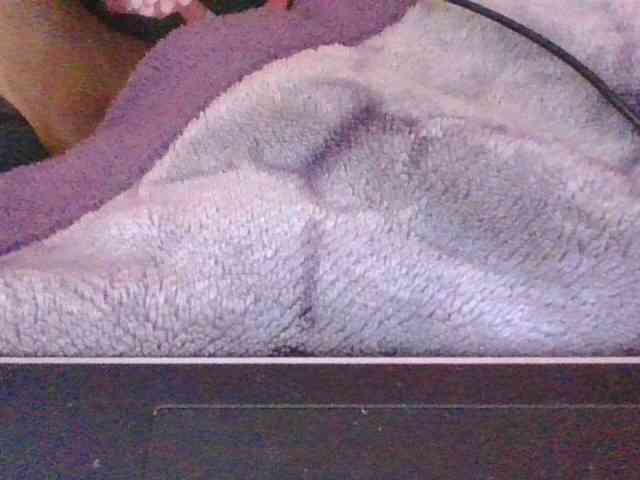 Phaniah1a webcam