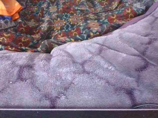 Phaniah1a webcam