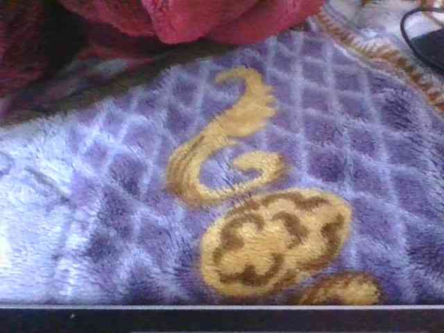 Phaniah1a webcam