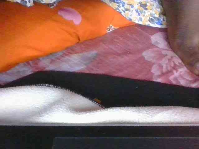 Phaniah1a webcam