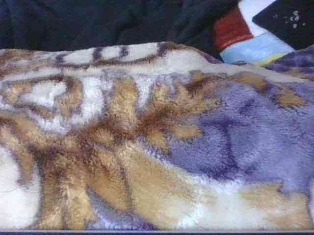 Phaniah1a webcam