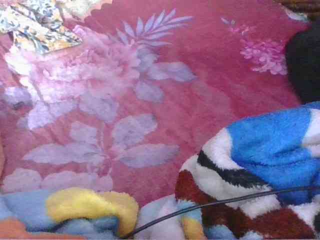 Phaniah1a webcam
