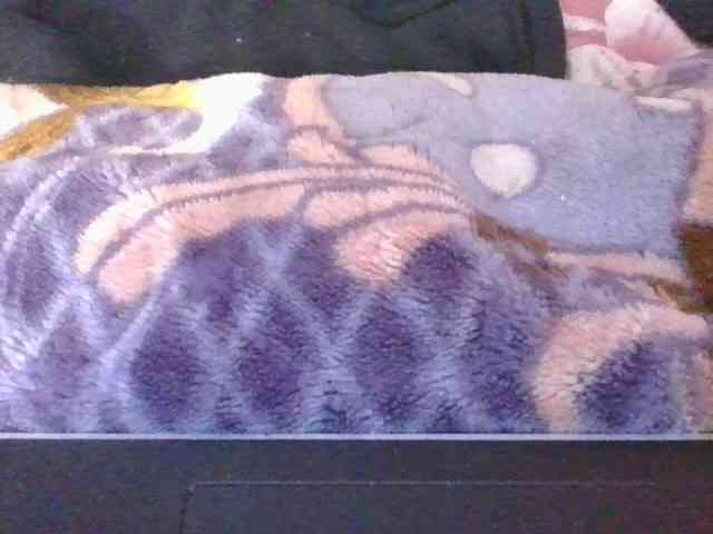 Phaniah1a webcam