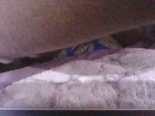 Phaniah1a webcam