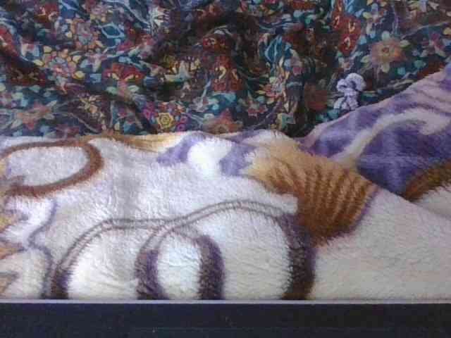 Phaniah1a webcam