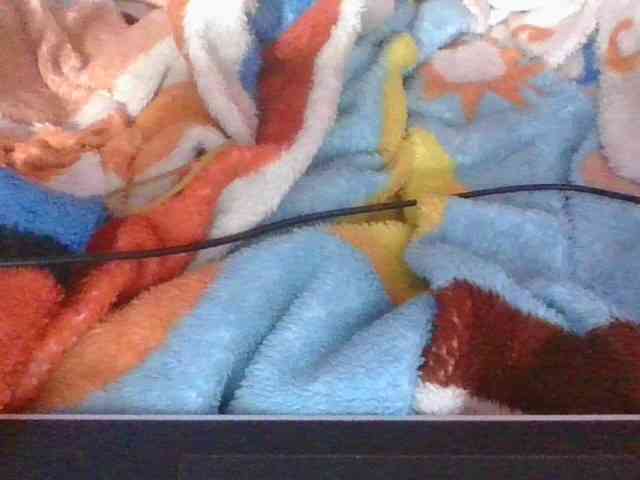 Phaniah1a webcam