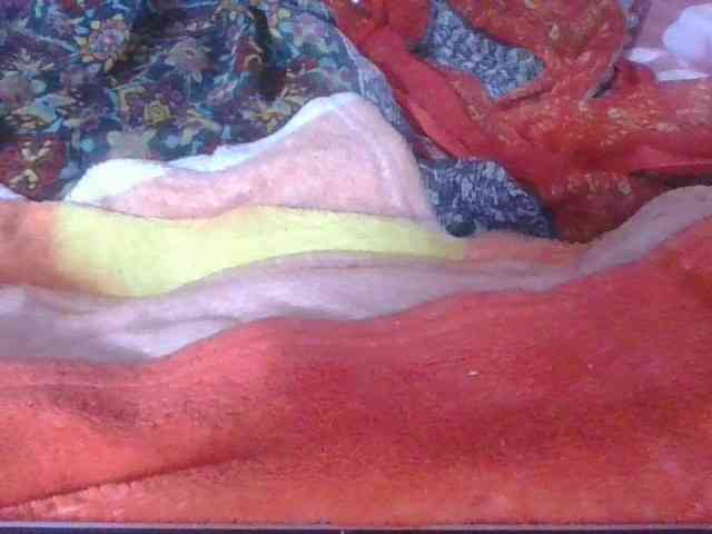 Phaniah1a webcam