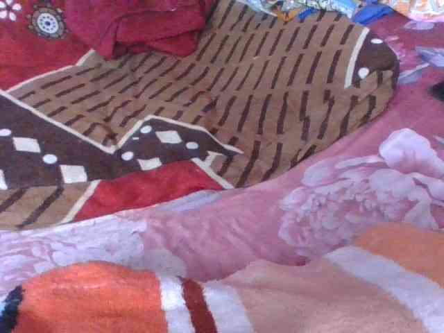 Phaniah1a webcam