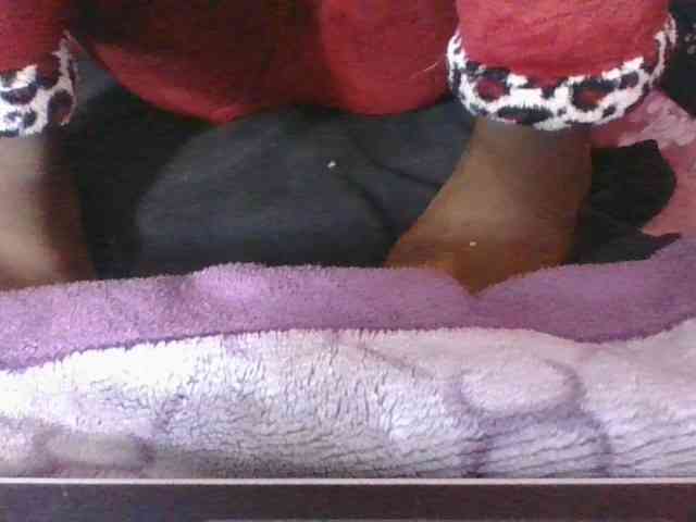 Phaniah1a webcam