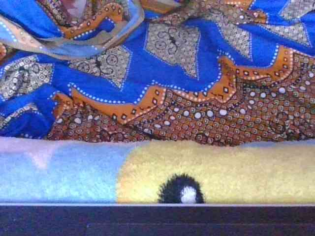 Phaniah1a webcam
