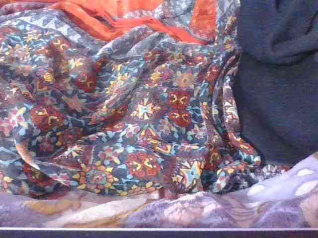 Phaniah1a webcam