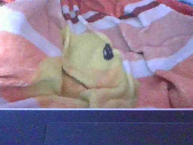 Phaniah1a webcam