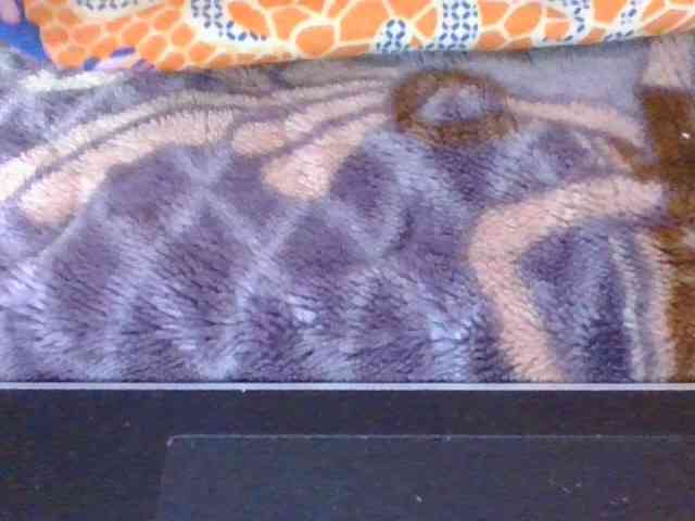 Phaniah1a webcam