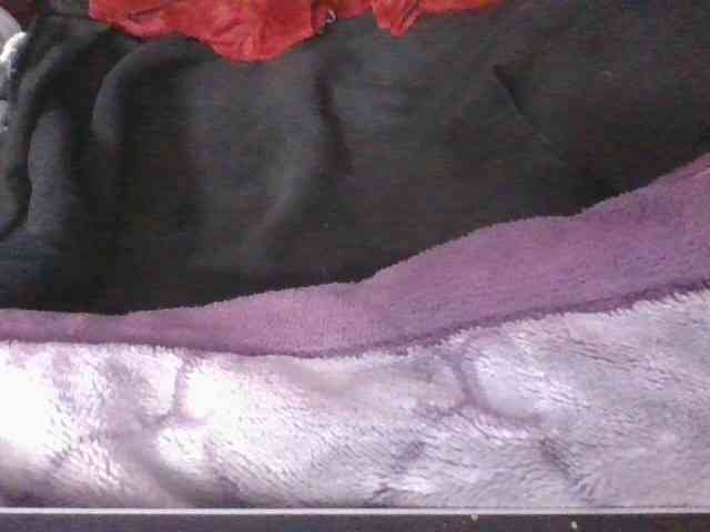 Phaniah1a webcam