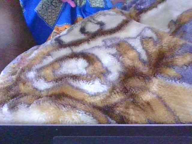 Phaniah1a webcam