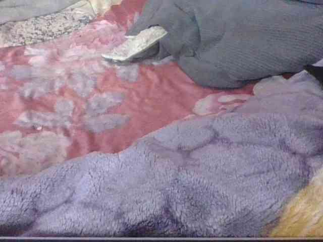 Phaniah1a webcam