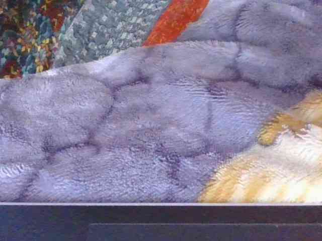 Phaniah1a webcam