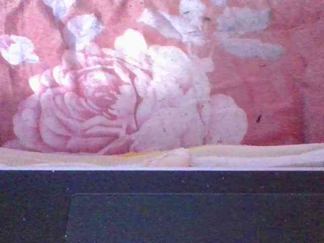 Phaniah1a webcam