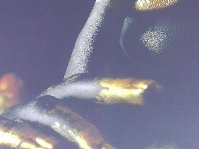Alexxxaaa