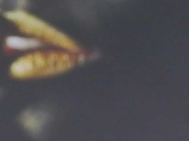 Alexxxaaa live cam preview