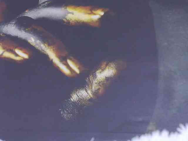 Alexxxaaa webcam