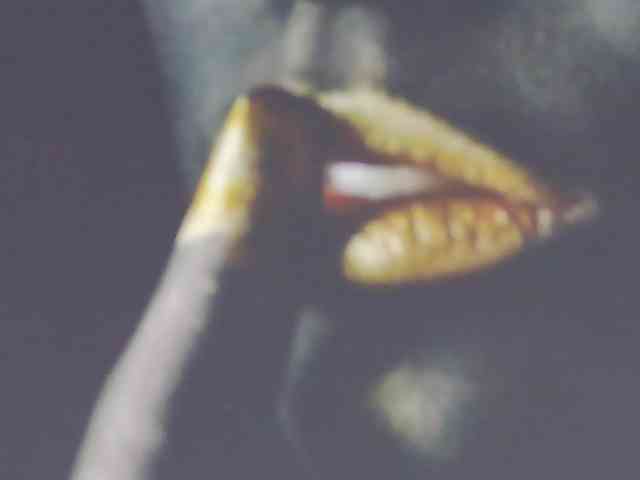 Alexxxaaa