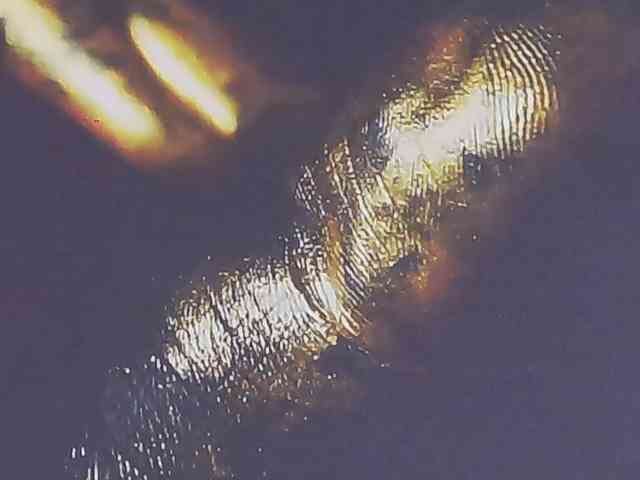 Alexxxaaa webcam