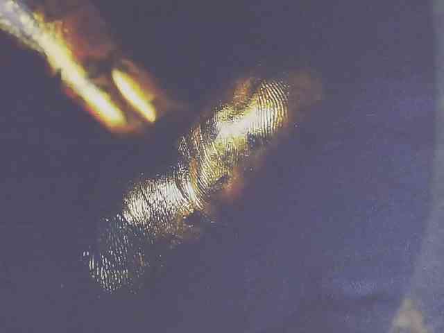 Alexxxaaa webcam