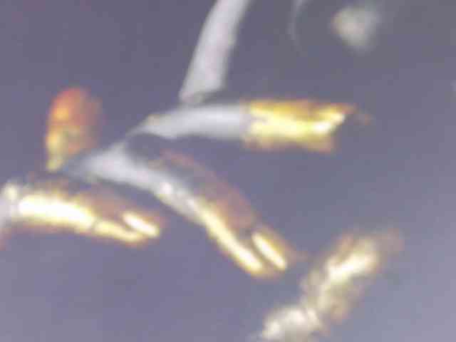 Alexxxaaa webcam